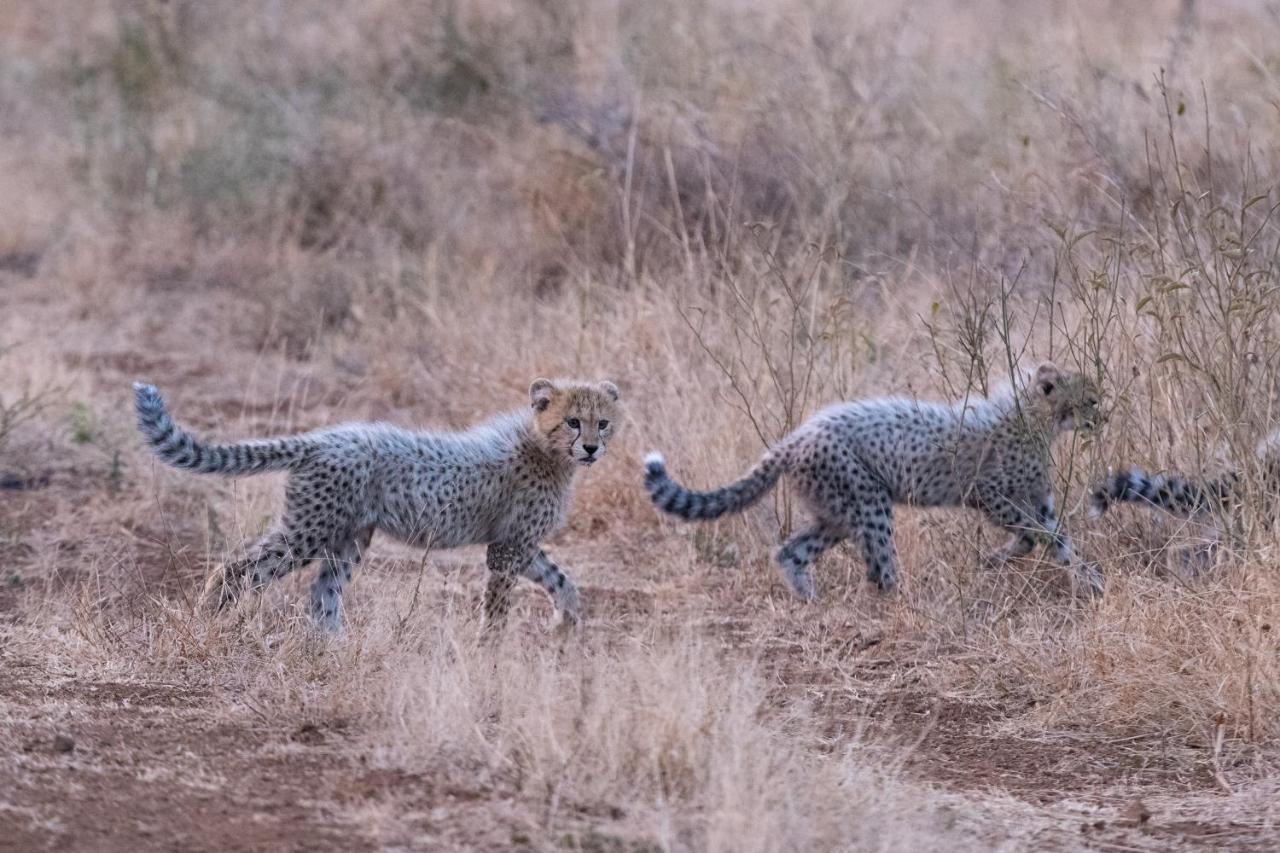Mavela Game Lodge Mkuze Kültér fotó